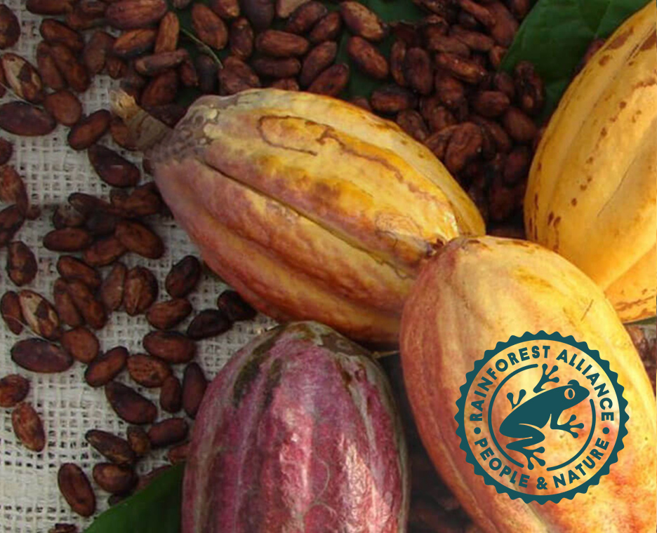 Nachhaltig angebauter Kakao